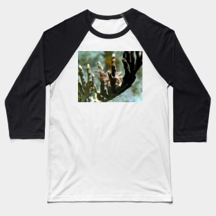 Neck Crab on Coral Baseball T-Shirt